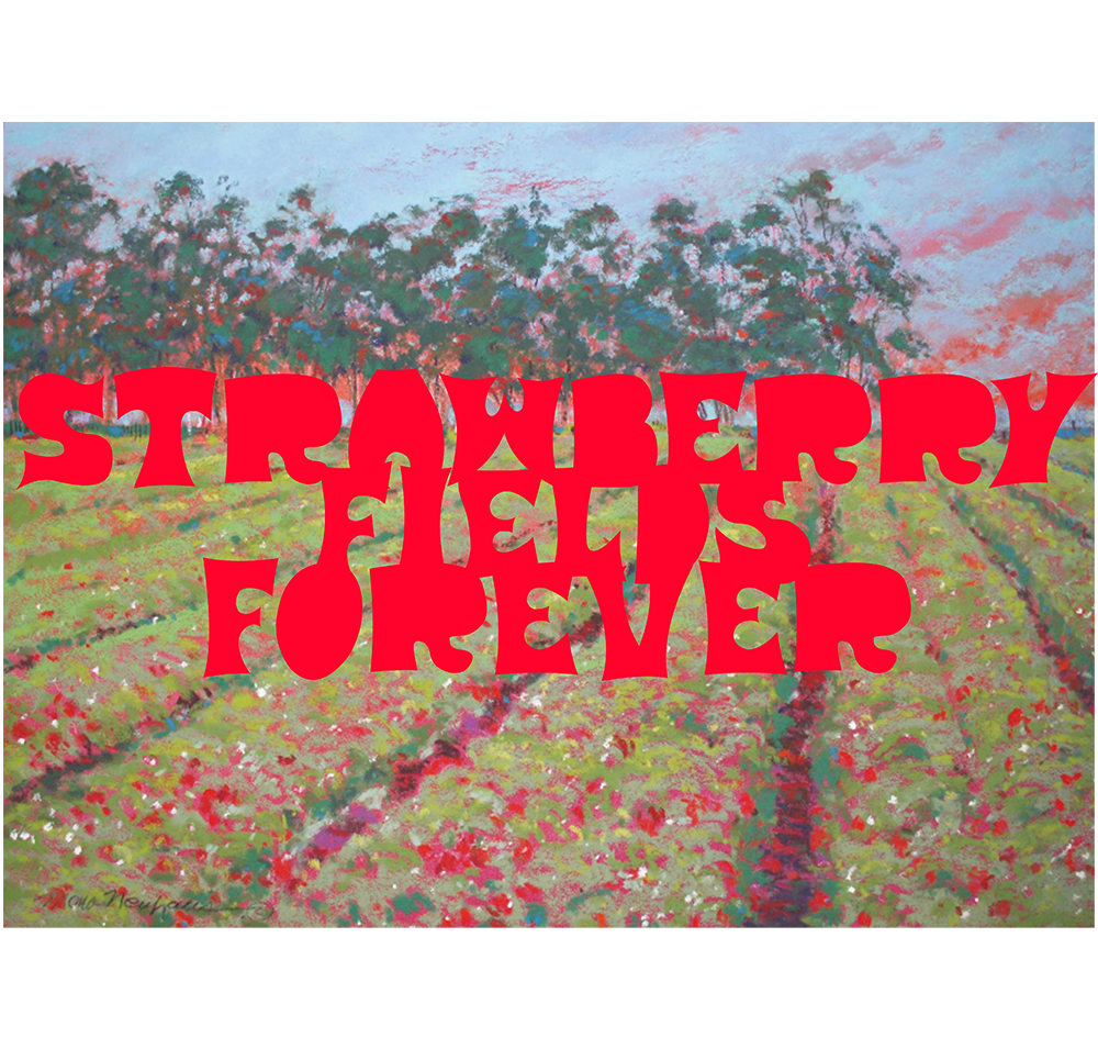 Strawberry Fields Forever - The Beatles